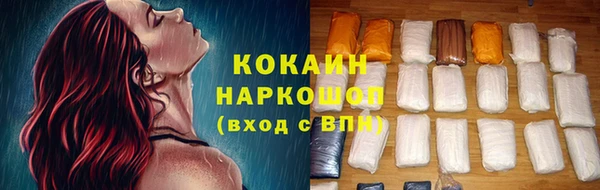 гидра Лагань