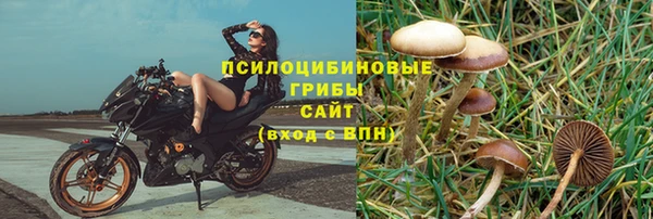 герыч Зерноград