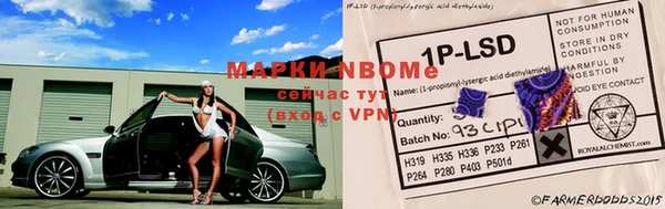 a pvp Зеленокумск