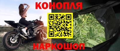 spice Кинель