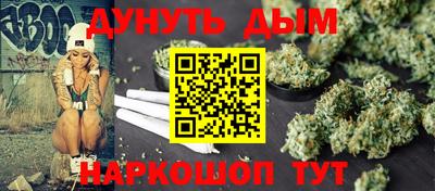 индика Кингисепп
