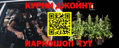 каннабис Кандалакша