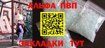 индика Кингисепп