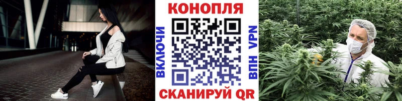 Бошки Шишки гибрид Кандалакша