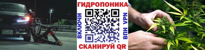 Канабис марихуана  Кандалакша 